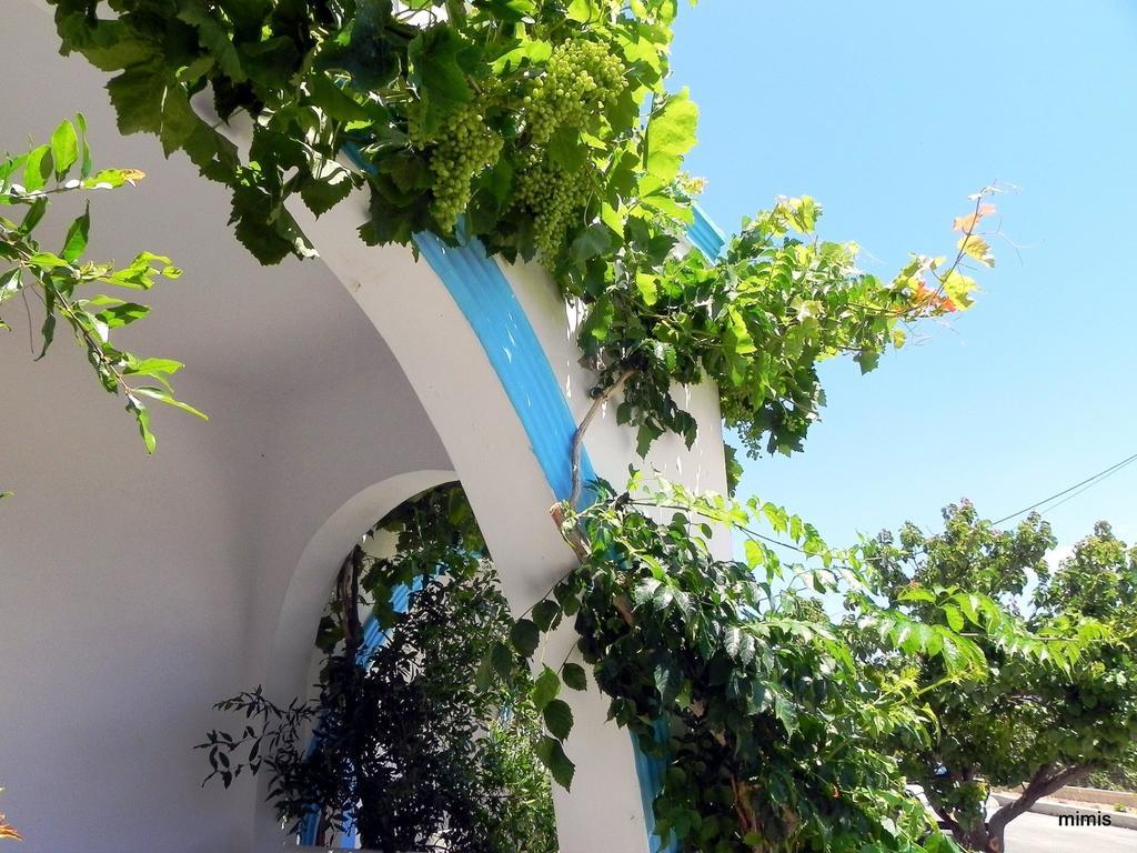 Mihalis Studios Lakki  Δωμάτιο φωτογραφία